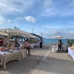 © Le printemps des créateurs - Office de tourisme de Saint-Cyr-sur-Mer