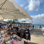 © Le printemps des créateurs - Office de tourisme de Saint-Cyr-sur-Mer