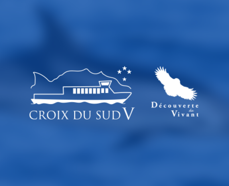 Croix du Sud V - Accueil à quai