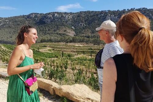 OenoTour Expert Bandol