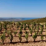 © Domaine de La Bégude - Mathieu-Garçon