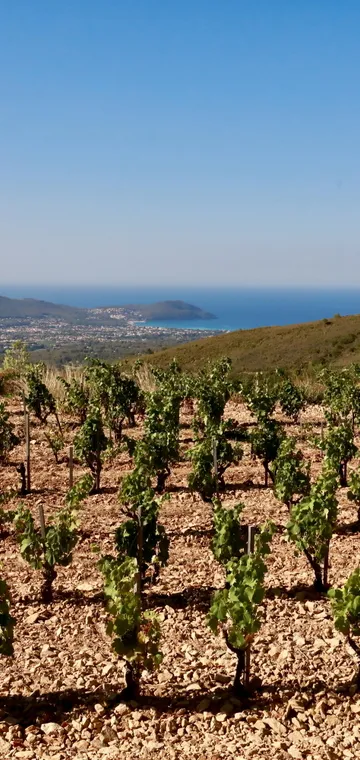 © Domaine de La Bégude - Mathieu-Garçon