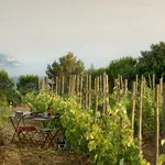 © Domaine de La Bégude - Mathieu-Garçon