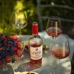 © Domaine de La Bégude - Mathieu-Garçon