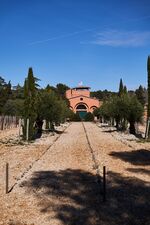© vignes - Domaine de La Bégude