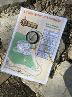 © Cours d'orientation - Le royaume des arbres