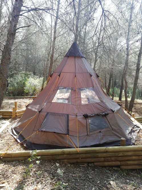 Trappeur Forest