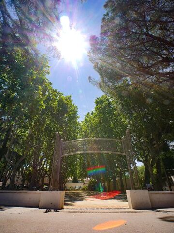 © Boulodrome Henri Salvador - Office de tourisme de Saint-Cyr-sur-Mer / Joan Costeja