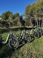 © Trot - Le Royame des arbres