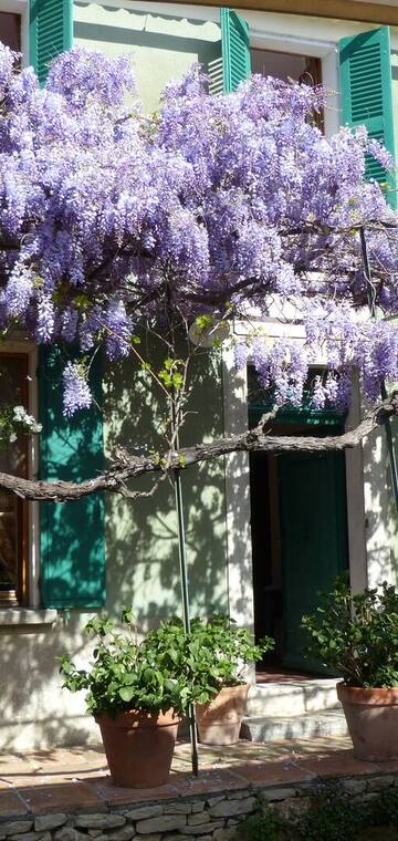 © Bastide des Saveurs - Bastide des Saveurs