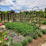 © Bastide des Saveurs - Bastide des Saveurs