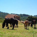La Bastide du Mont Caume