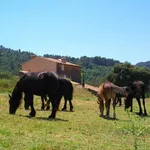 La Bastide du Mont Caume