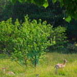 La Bastide du Mont Caume