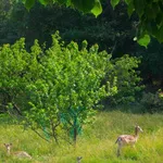 La Bastide du Mont Caume