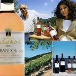 Domaine de la Laidière