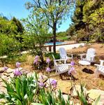 © Jardin - roman caroline
