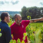 © Au Clair de la Vigne - Au Clair de la Vigne
