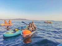 © Location paddle et kayak - Portissol Bay