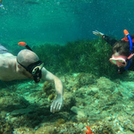 © Sanary Snorkeling - Sanary Snorkeling
