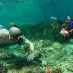 © Sanary Snorkeling - Sanary Snorkeling