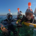 © Sanary Snorkeling - Sanary Snorkeling