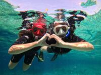 © Sortie Île du grand Rouveau - Sanary Snorkeling