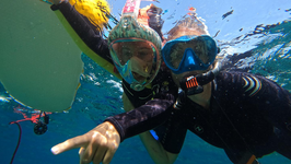 © Sortie en mer à la journée - Sanary Snorkeling