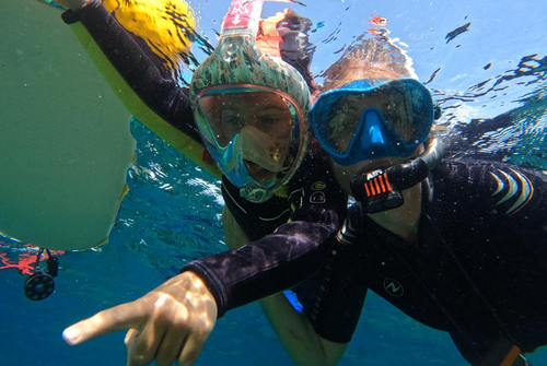 Sortie en mer à la journée avec Sanary Snorkeling