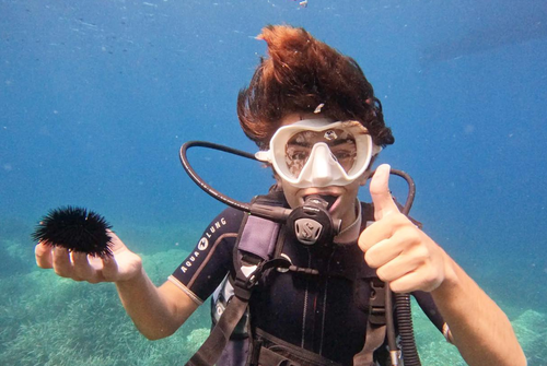 Baptême de plongée avec Sanary Snorkeling