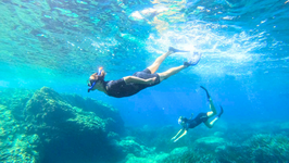 © Sortie "Snorkeleur" - Sanary Snorkeling