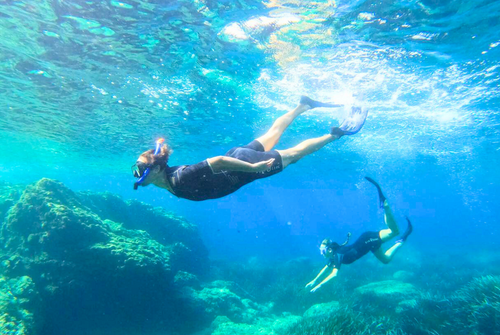 Sortie "Snorkeleur" avec Sanary Snorkeling