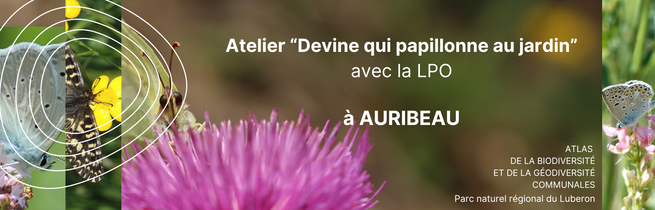 Atelier "Devine qui papillonne au jardin" avec la LPO