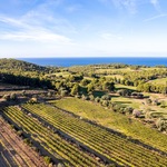 © Domaine de Frégate - Domaine de Frégate
