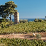 © Domaine de Frégate - Domaine de Frégate