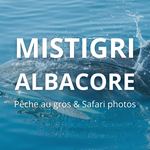 © Mistigri-Albacore - Mistigri-Albacore