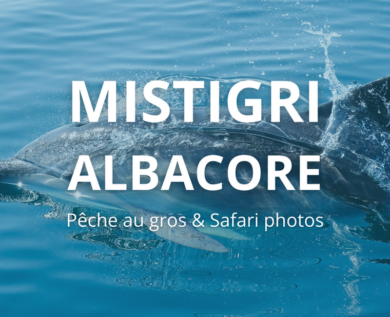 Mistigri-Albacore