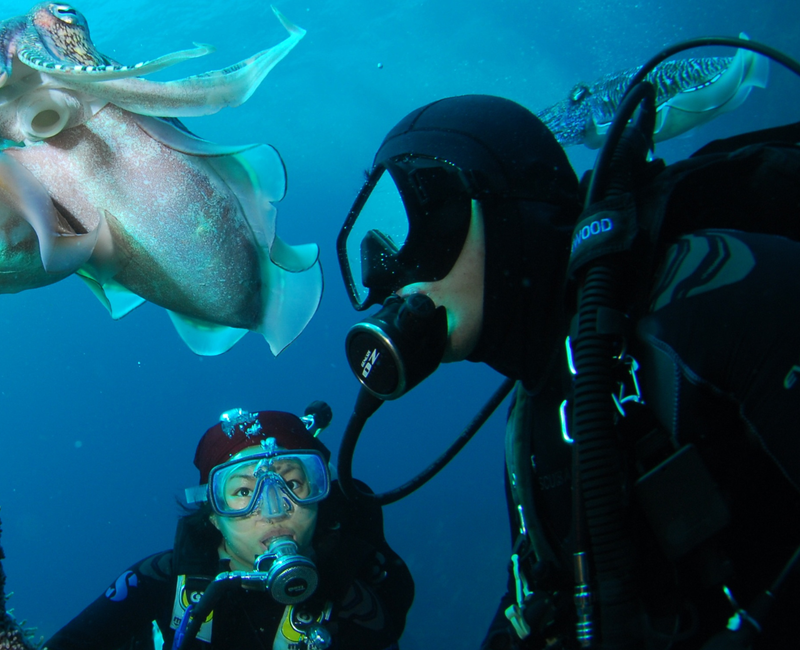 Formation  "Scuba Diver" avec Sanary Plongée
