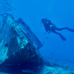 © Open Water Diver - Open Water Diver