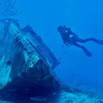 © Open Water Diver - Open Water Diver