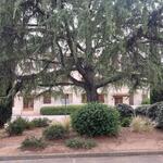 © Le Prov Village - Jardins - Marc G