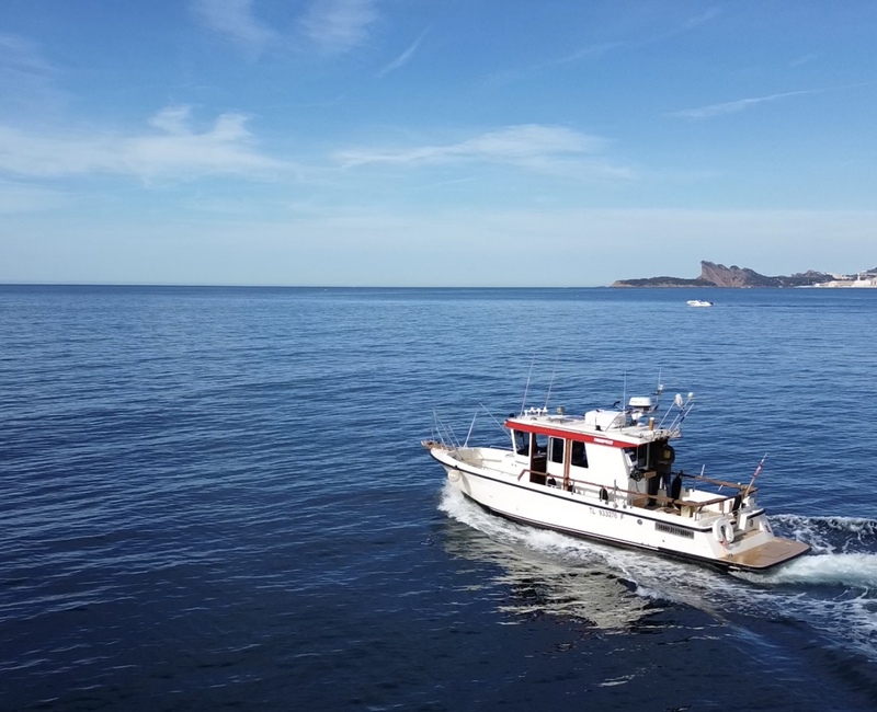 Promenade en mer avec Speedfishing