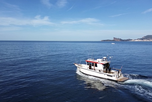 Promenade en mer avec Speedfishing