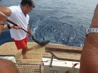 Peche sportive