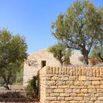 © Jardin des Oliviers - Devanture - Sanary Tourisme
