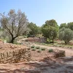 © Jardin avec les oliviers - Sanary Tourisme