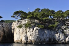 © La Croix du Sud - La Croix du Sud