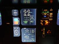 © Discovery’ package - Zim Air Simulation