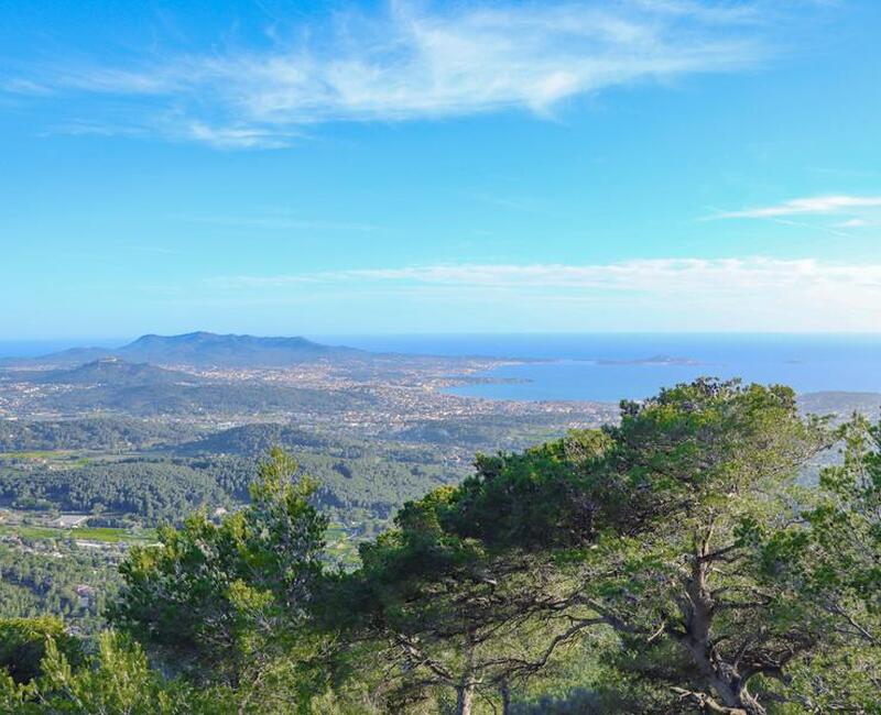 Randonnée sur le sentier du Belvédère dans le Massif du Gros Cerveau