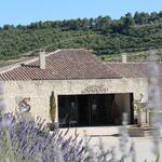 © domaine-souviou-lavandes-bandol-vignoble-vin - Crédit photo domaine Souviou